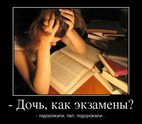 Смешные картинки про экзамены