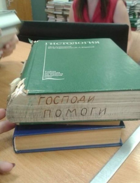 Приколы про учебу