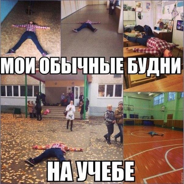 Приколы про учебу в школе