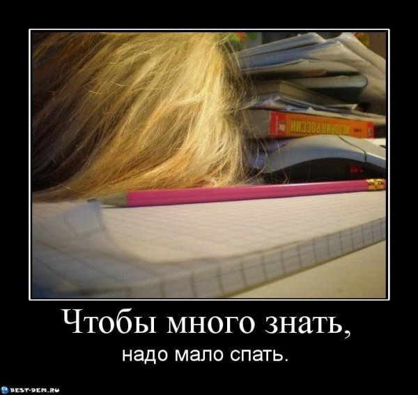 Смешные цитаты про учебу