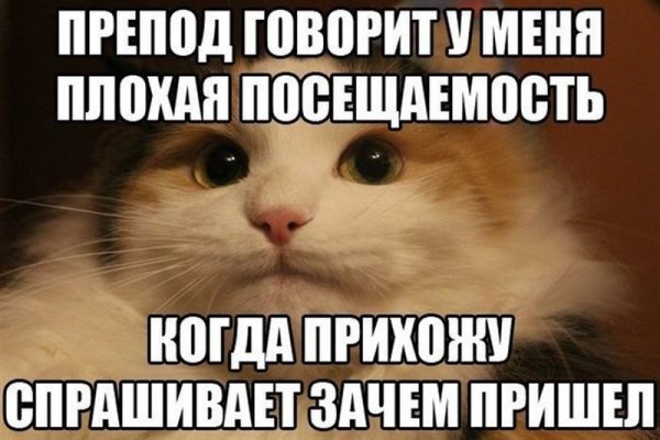 Приколы про учёбу в картинках