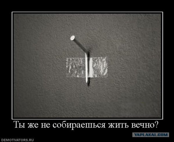 Картинка забей