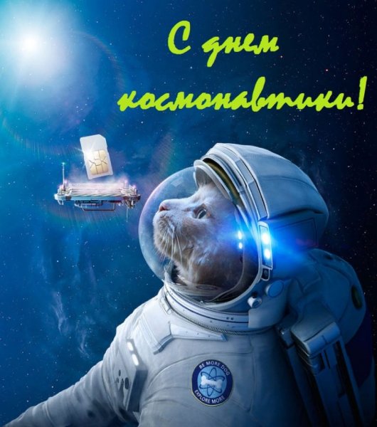 Кот космонавт