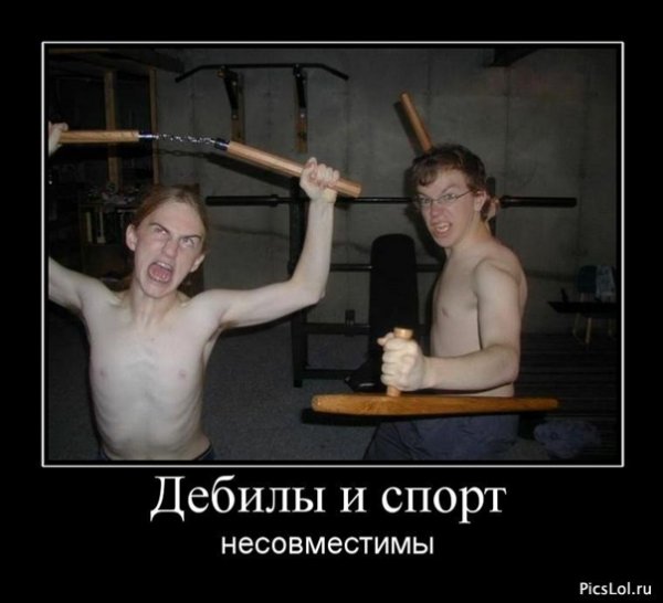 Демотиватор два дебила это сила