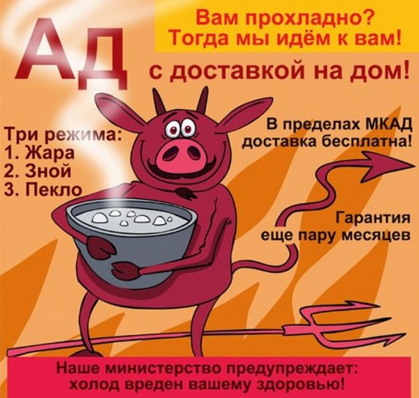 Приколы про жару