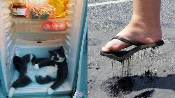 Смешные приколы про жару