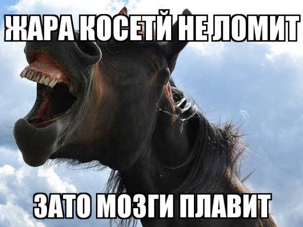 Шутки про жару