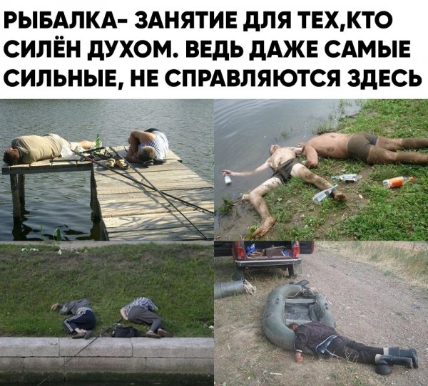 Приколы про летнюю жару