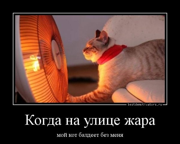 Шутки о жаре