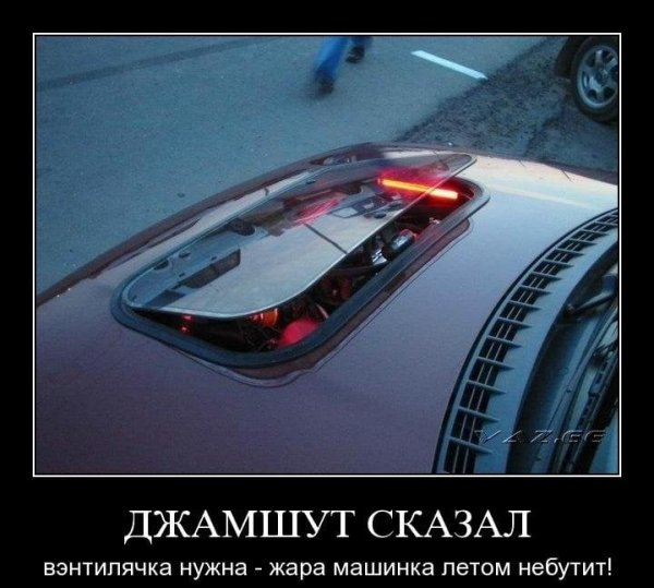 Приколы про жару