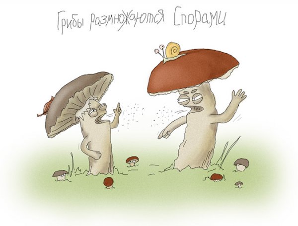 Грибы юмор