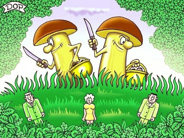Грибы карикатура