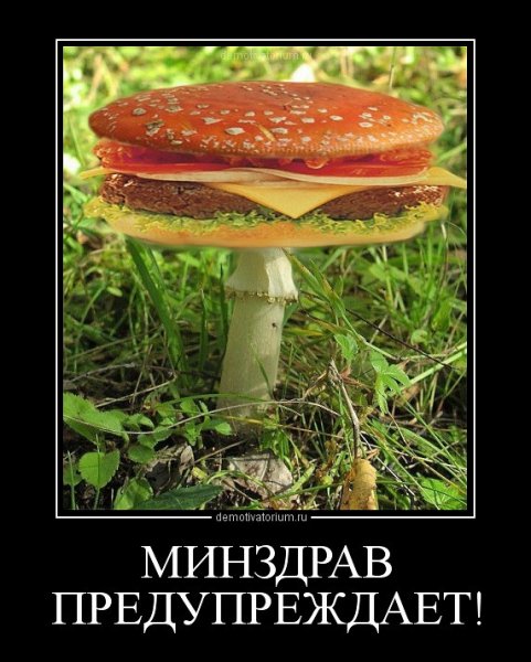 Смешные приколы про грибы