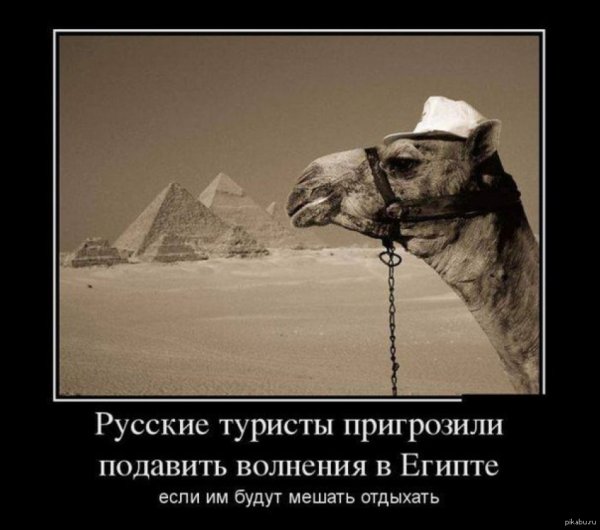 Русские туристы демотиваторы