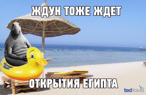 Ждун Египет
