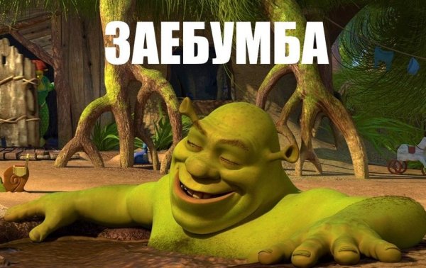 Шрек заебумба
