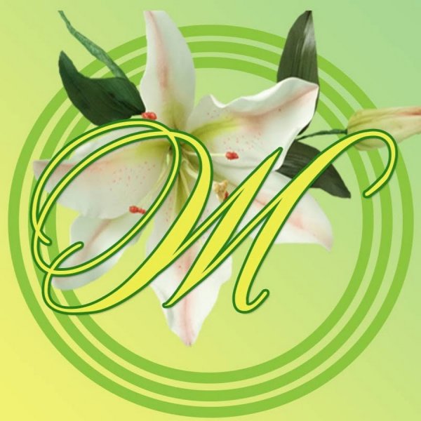 Женсовет картинки