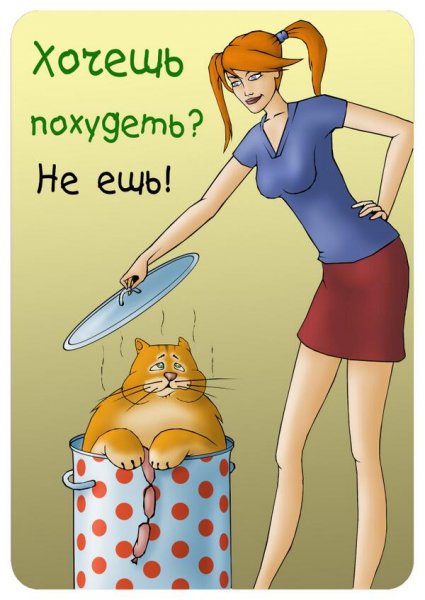 Приколы про худеющих