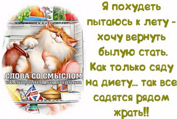Смешные фразы про диету