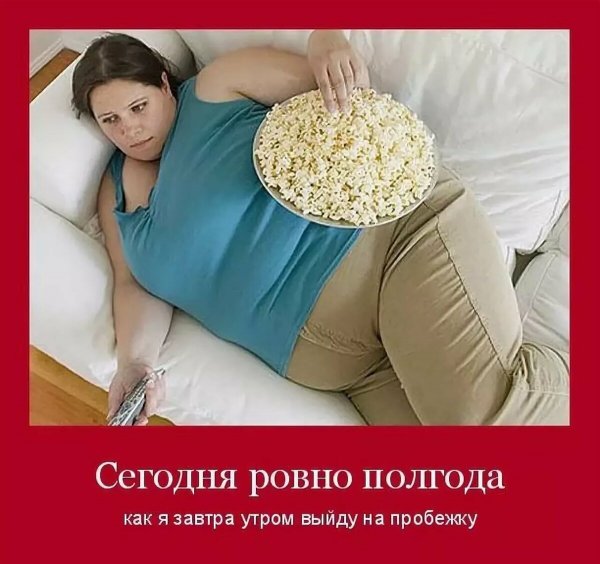 Шутки про лишний вес