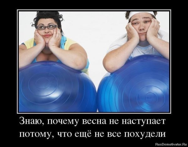 Приколы про похудение