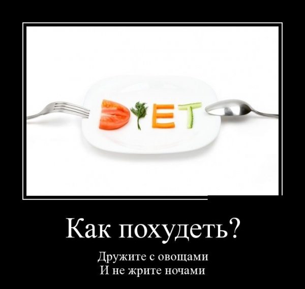 Приколы про диету
