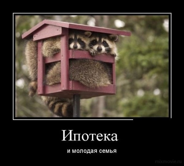 Шутки про ипотеку в картинках
