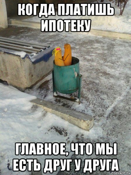 Домик для енота