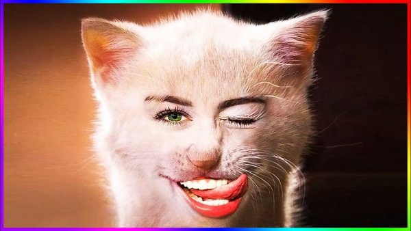 Котик подмигивает