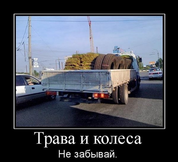 Приколы про дальнобойщиков