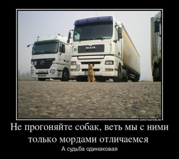 Смешной водитель грузовика