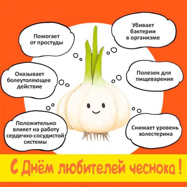 День чеснока