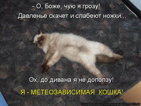 Анекдот про давление