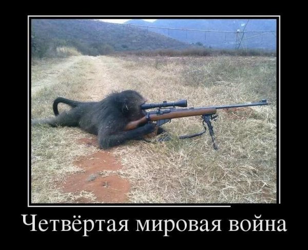 Мартышка с оружием