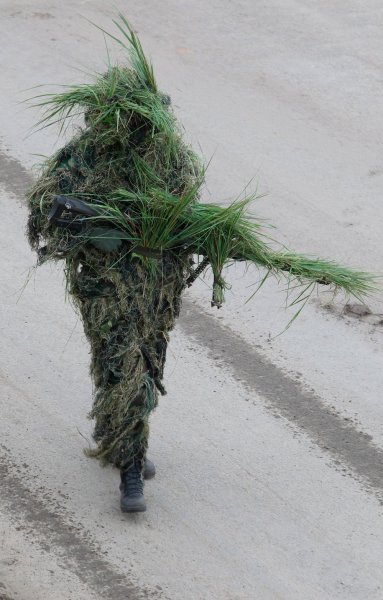 Смешная маскировка