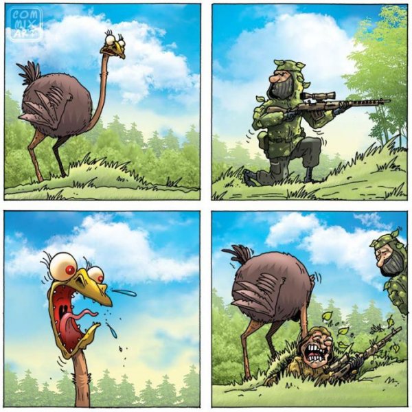 Страус карикатура