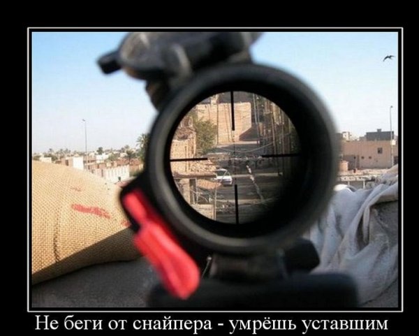 Смешной прицел