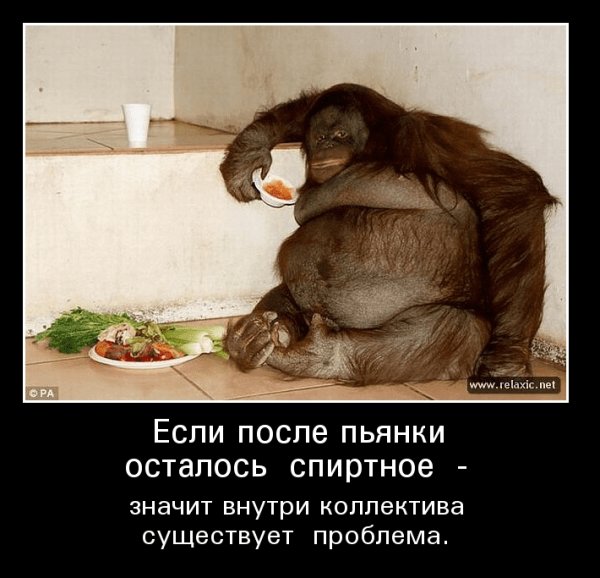 Веселая пьянка