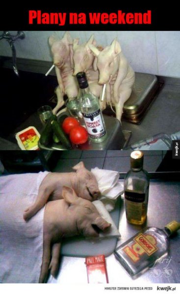 Шутки про женское пьянство