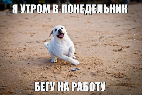 Бегом на работу смешные