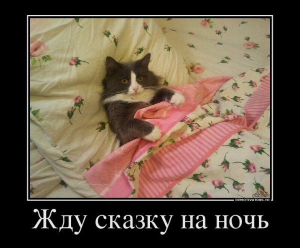 Пора баиньки