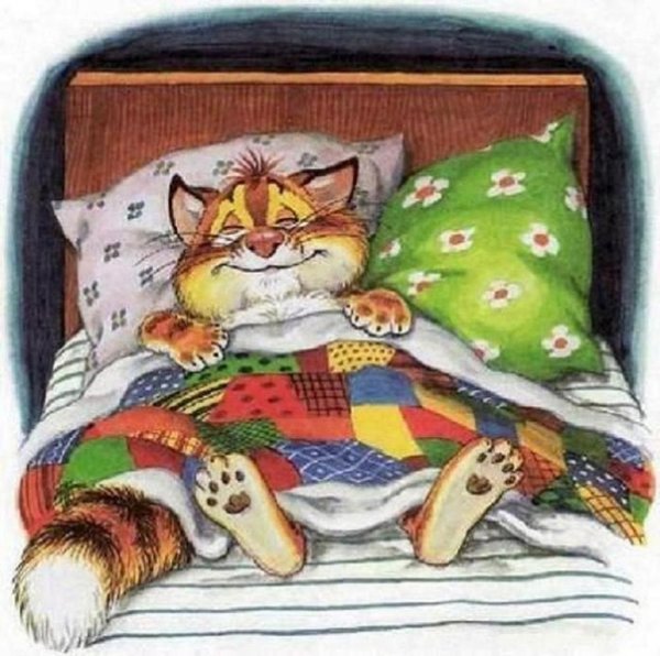 Смешной кот спокойной ночи