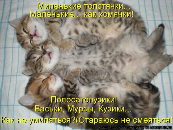 Я баиньки