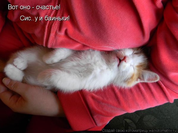 Ложись баиньки