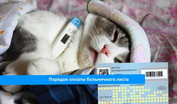 Больничный лист карикатура