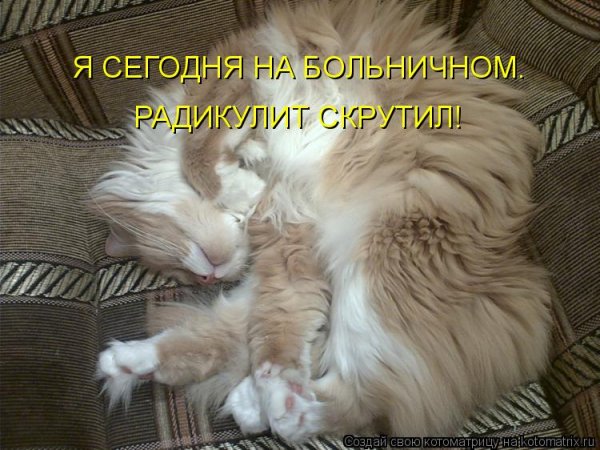 Смешные анекдоты про больницу