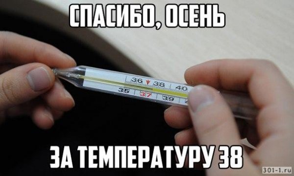 Температура прикол