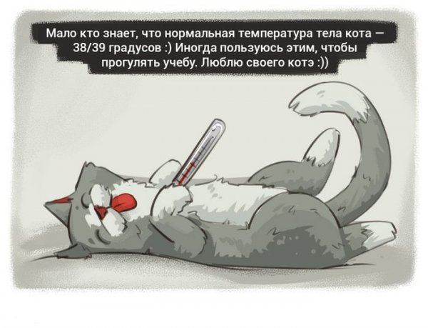 Афоризмы о температуре