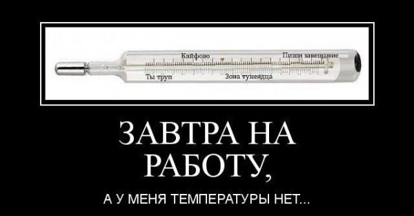 Шутки про температуру