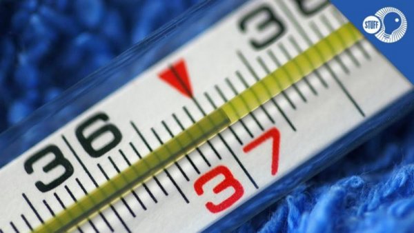 Градусник 37.1